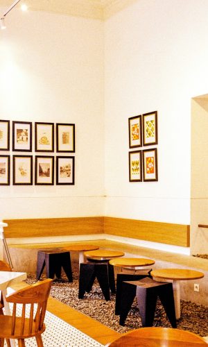 salman-rameli-f1yURlF7-Q8-unsplash